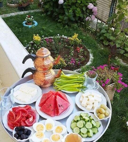 عکس غذا ویسگون