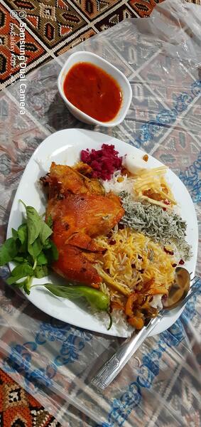 عکس غذا ویسگون