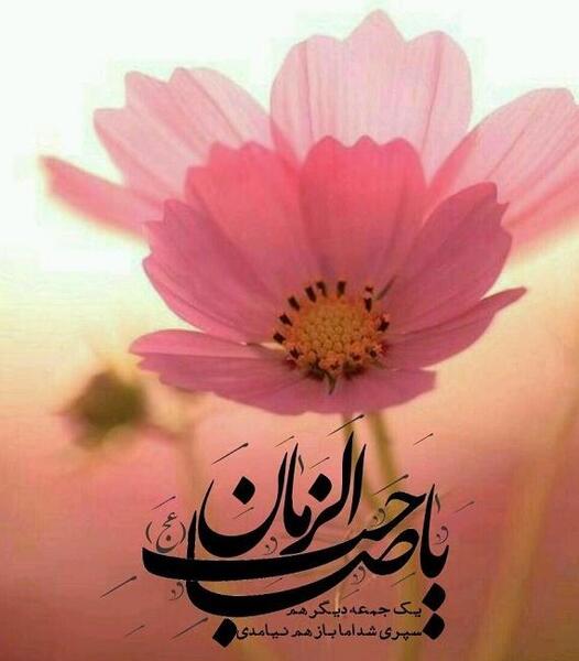 عکس نوشته زیبا یا صاحب الزمان