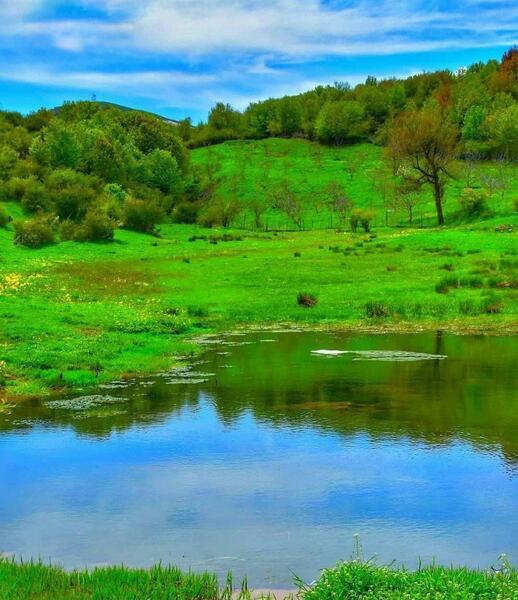 عکس طبیعت داماش گیلان