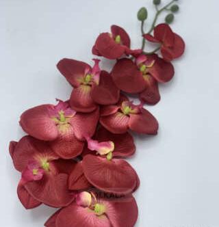 عکس گل رز لمسی