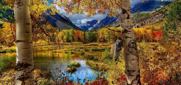 عکس منظره طبیعت برای نقاشی