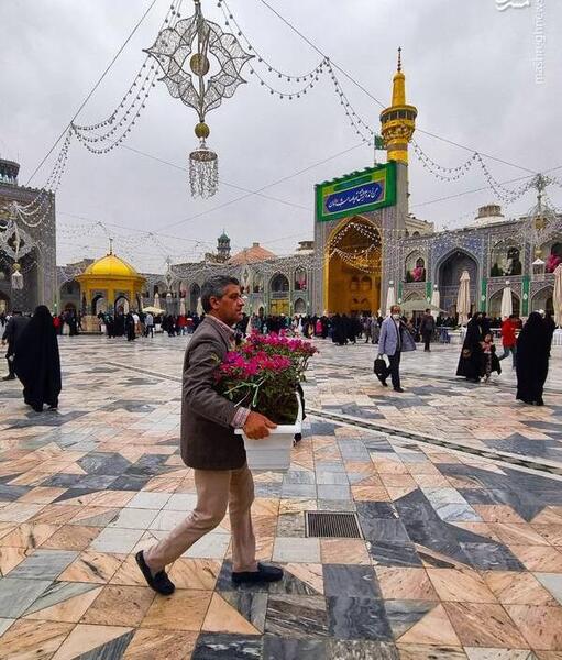 عکس نوروز حرم امام رضا