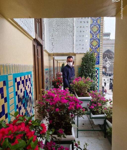 عکس نوروز حرم امام رضا