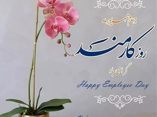 عکس روز کارمند ۱۴۰۱