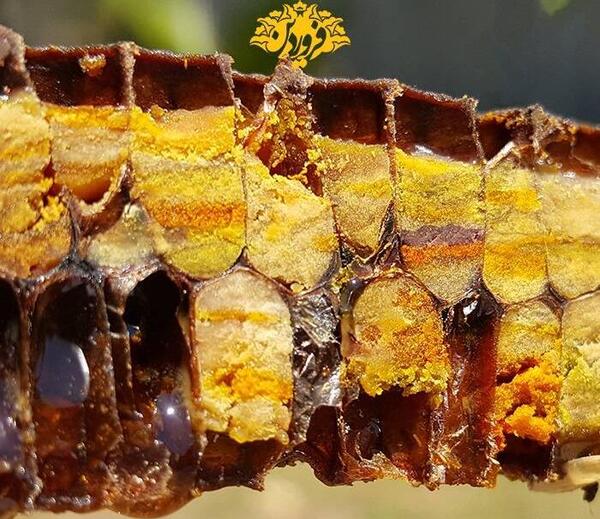 عکس گل گرده