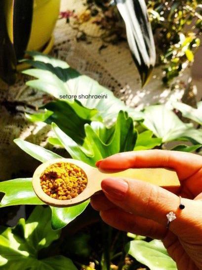 عکس گل گرده