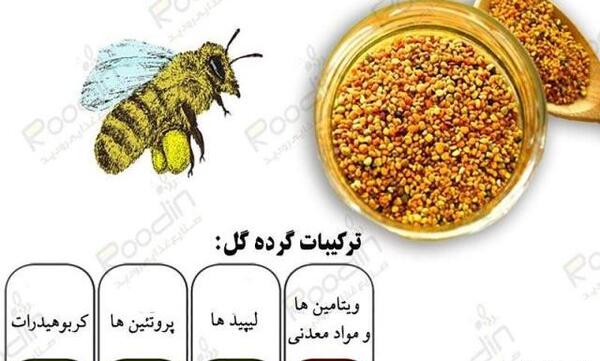 عکس گل گرده