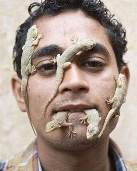 عکس حیوانات چندش آور