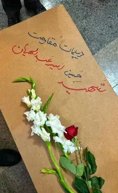 عکس امیر فرهی