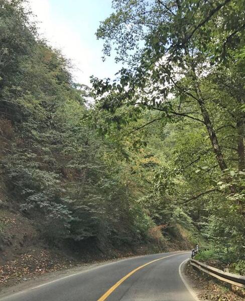 عکس جاده طبیعت