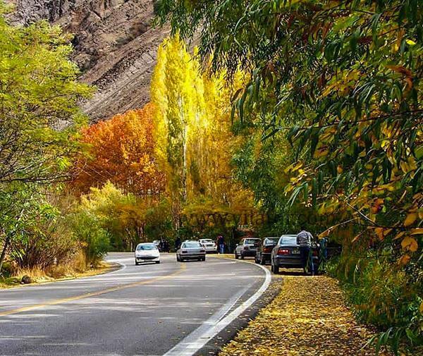 عکس جاده طبیعت