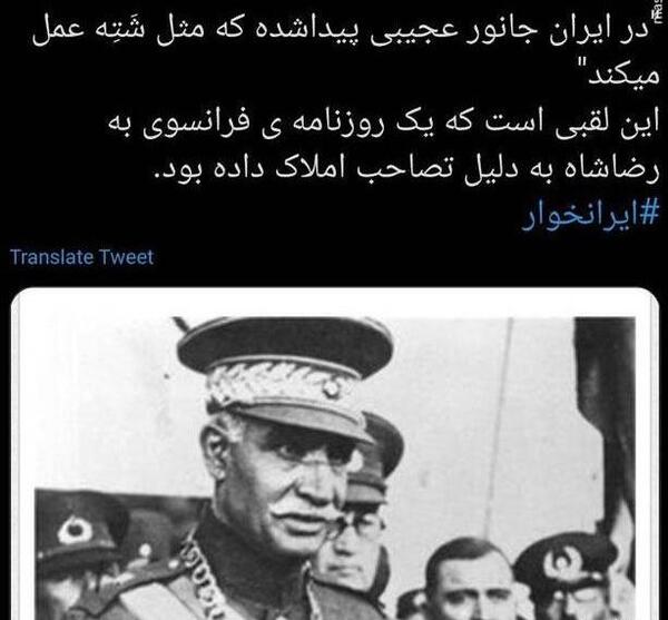 عکس رضا خان محمدی