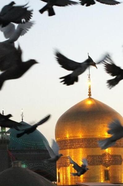 عکس حرم امام رضا برای پروفایل واتساپ