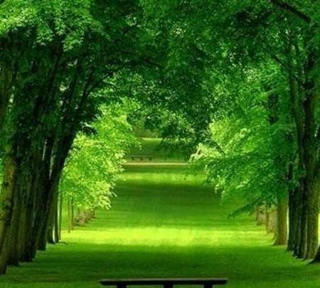 عکس طبیعت برای پروفایل اینستاگرام