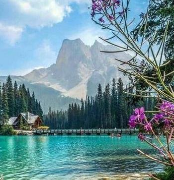 عکس طبیعت برای پروفایل اینستاگرام