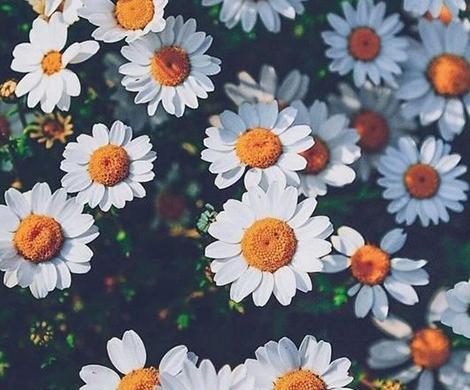 عکس طبیعت برای پروفایل اینستاگرام
