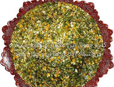 عکسی از گل بابونه