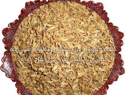 عکسی از گل بابونه