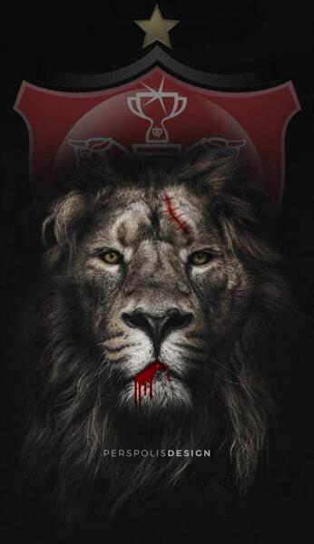 عکس سفره هفت سین پرسپولیسی
