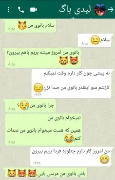 عکس چت آدرین و مرینت