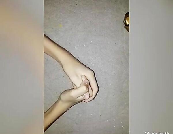 عکس طوطی گرینچیک ماده