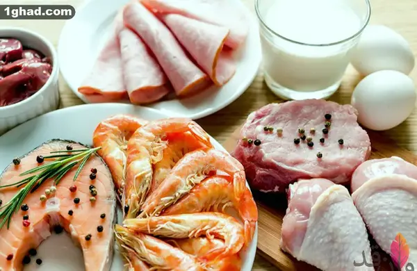 عکس لوبیای سویا
