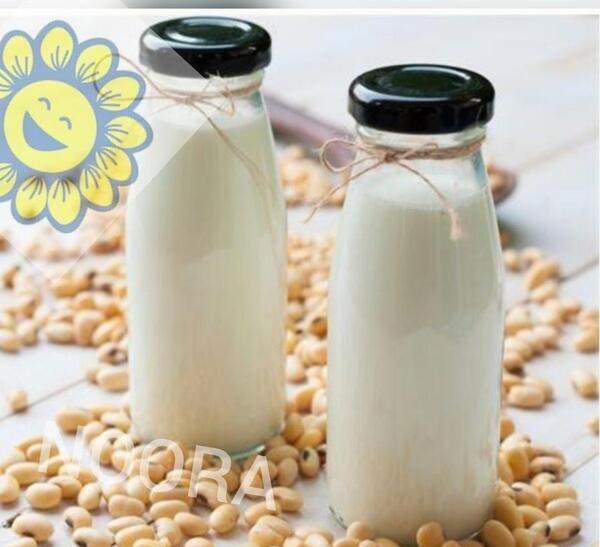 عکس لوبیای سویا
