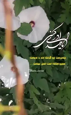 عکس منم کادو ولنتاین میخوام