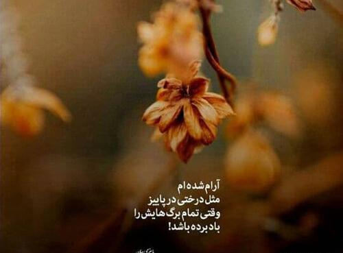 عکس نوشته آخر پاییز