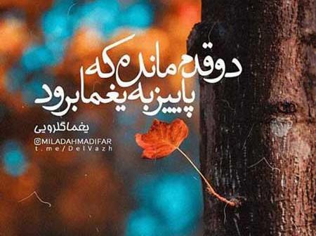 عکس نوشته آخر پاییز