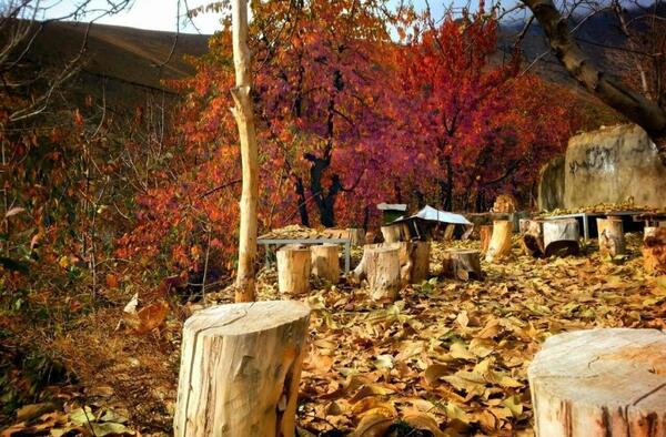 عکس پاییزی تهران
