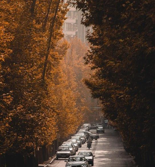 عکس پاییزی تهران