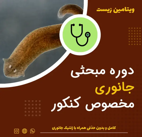 عکس بافت پارانشیم