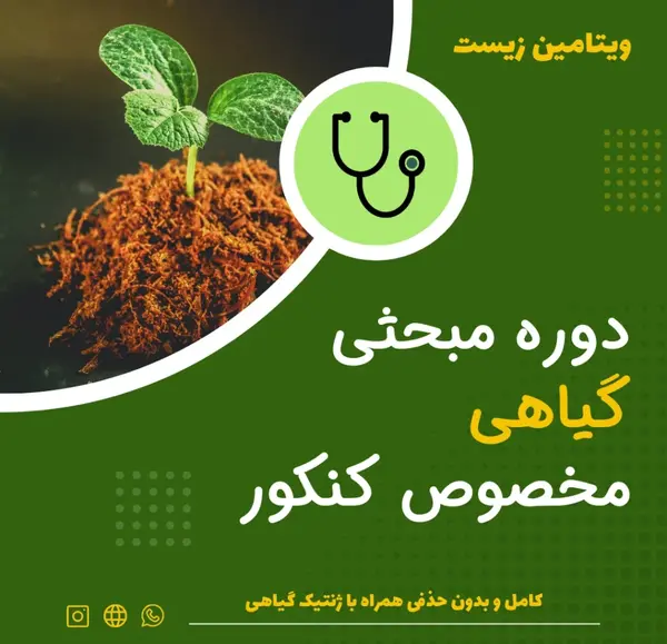 عکس بافت پارانشیم