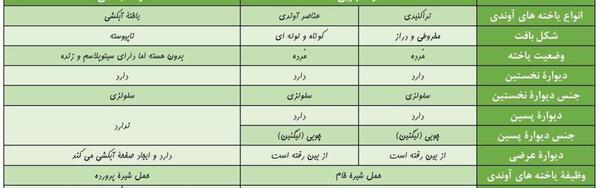 عکس بافت پارانشیم