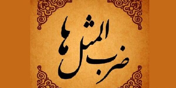 عکس از ضرب المثل ورزشی