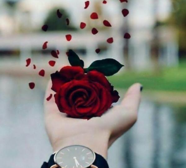 عکس پروفایل زیبا گل در دست
