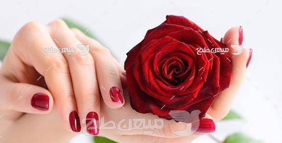 عکس پروفایل زیبا گل در دست
