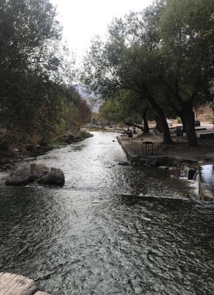 عکس شیرین رود ساری