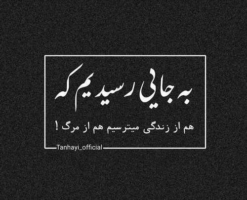 عکس دپ شاخ