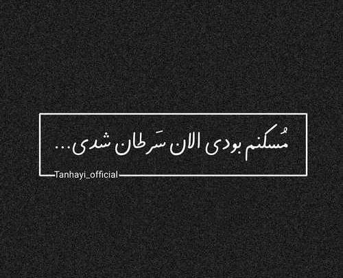عکس دپ شاخ