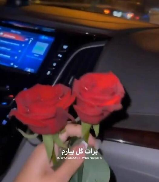 ایده عکس از گل