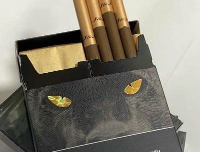 عکس ببر روشه
