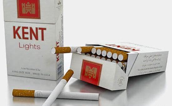 عکس ببر روشه