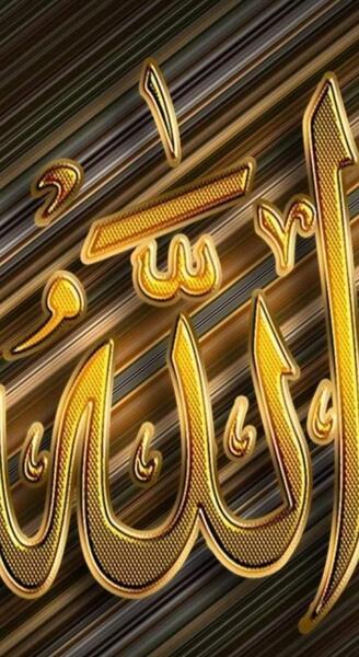 عکس گردنبند رولباسی طلا