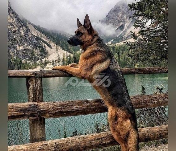 عکس فیلم ذائقه شخصی
