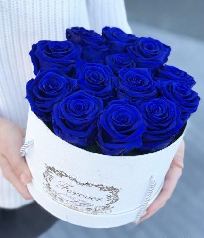 عکس شیر قرمز و آبی