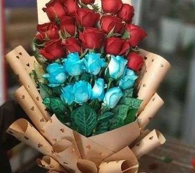 عکس شیر قرمز و آبی