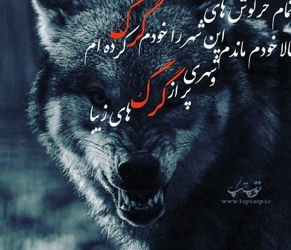 عکس گرگ نوشته غمگین